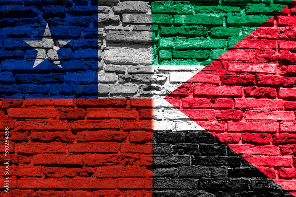 Flag of Chile and Palestine on brick wall Flag of Chile and Palestine on brick wall