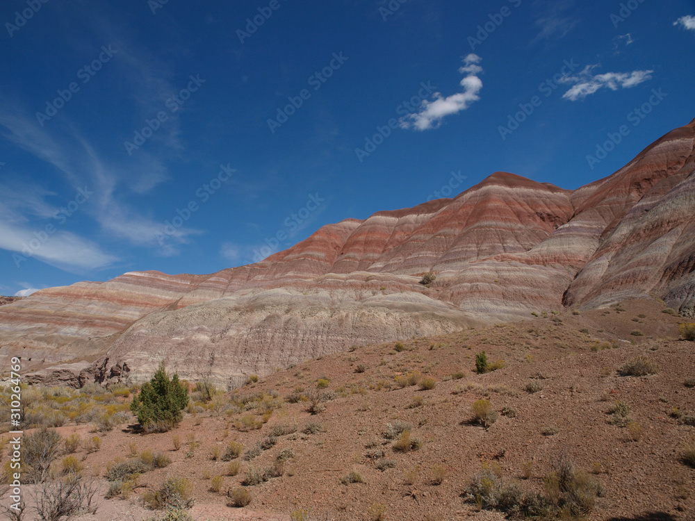 Paria Canyon in Utah