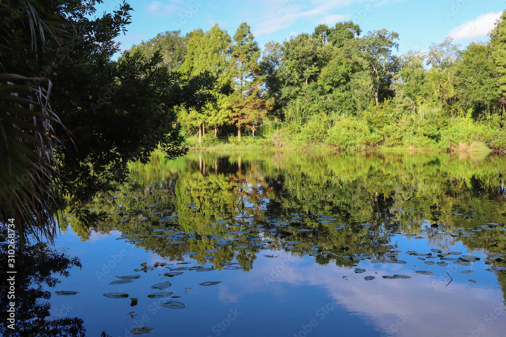 Fototapeta premium Blue sky, vivid green trees reflecting into a peaceful, serene lake.