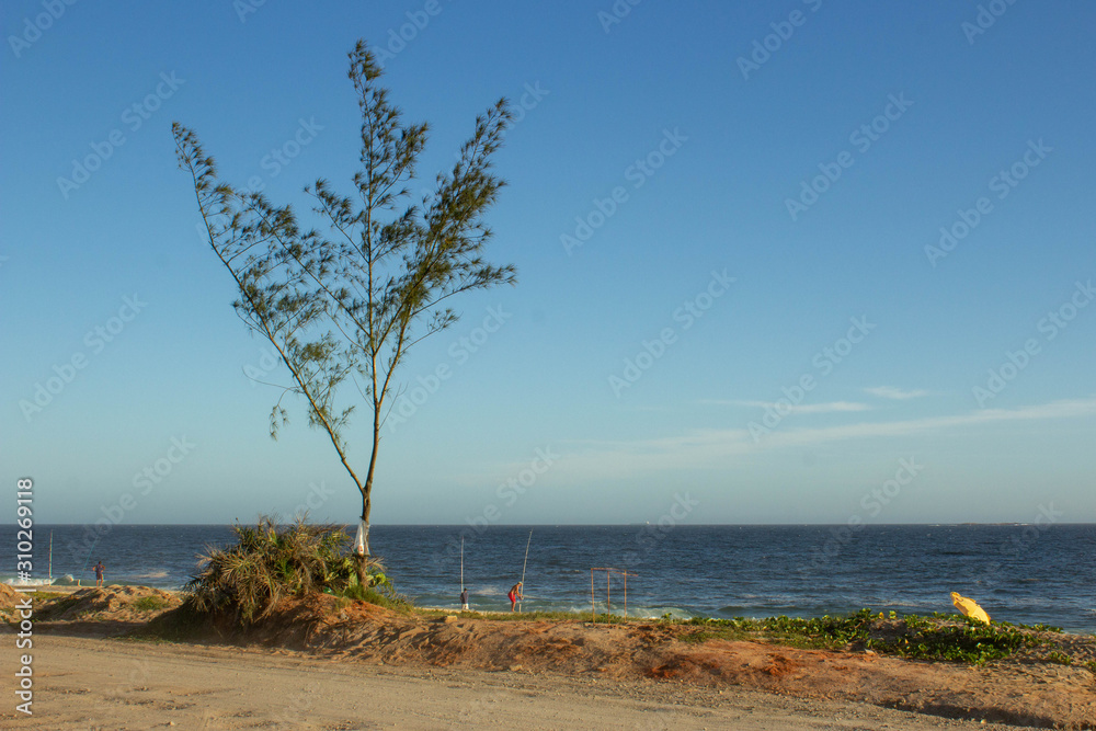 A beach on the side of a dirt road, with a single tree standing and a fisherman on the sand A beach on the side of a dirt road, with a single tree standing and a fisherman on the sand