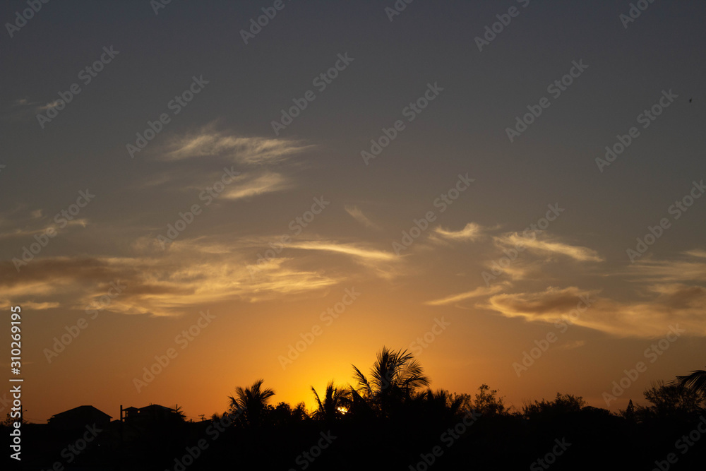 Beatiful sunset in a cloudy sky with palm tree's and houses's silhuettes