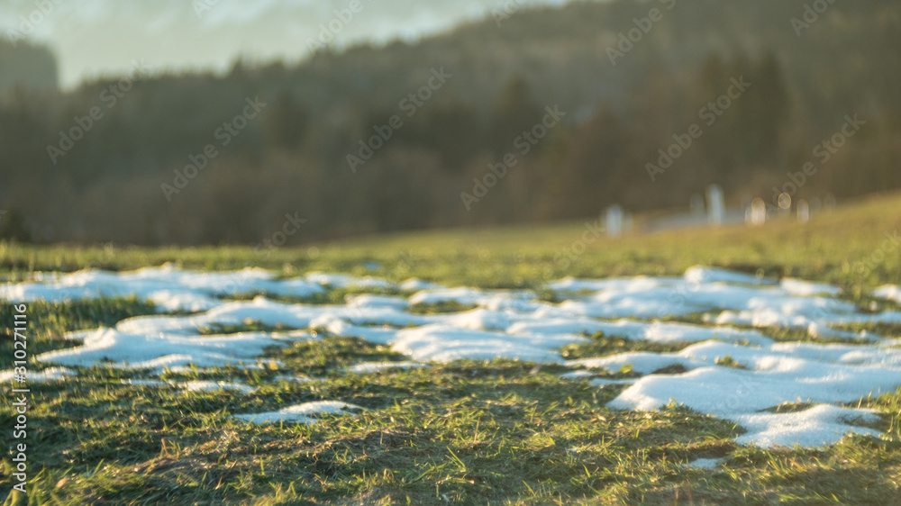 Fototapeta premium Schemlzender Schnee auf der Wiese