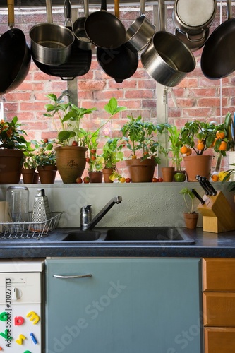 View Of Domestic Kitchen photo