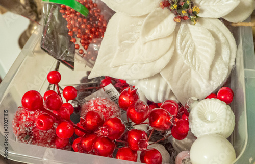 Christmas composition of red berries  white poinsettia flower  balls in plastic box. Christmas and New year background.