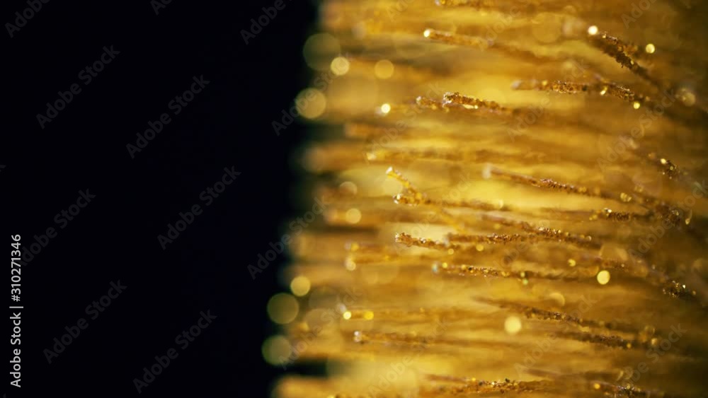 Gold tinsel glitter texture surface on black background. 4k close up macro of glittering material. Holiday abstract backdrop.