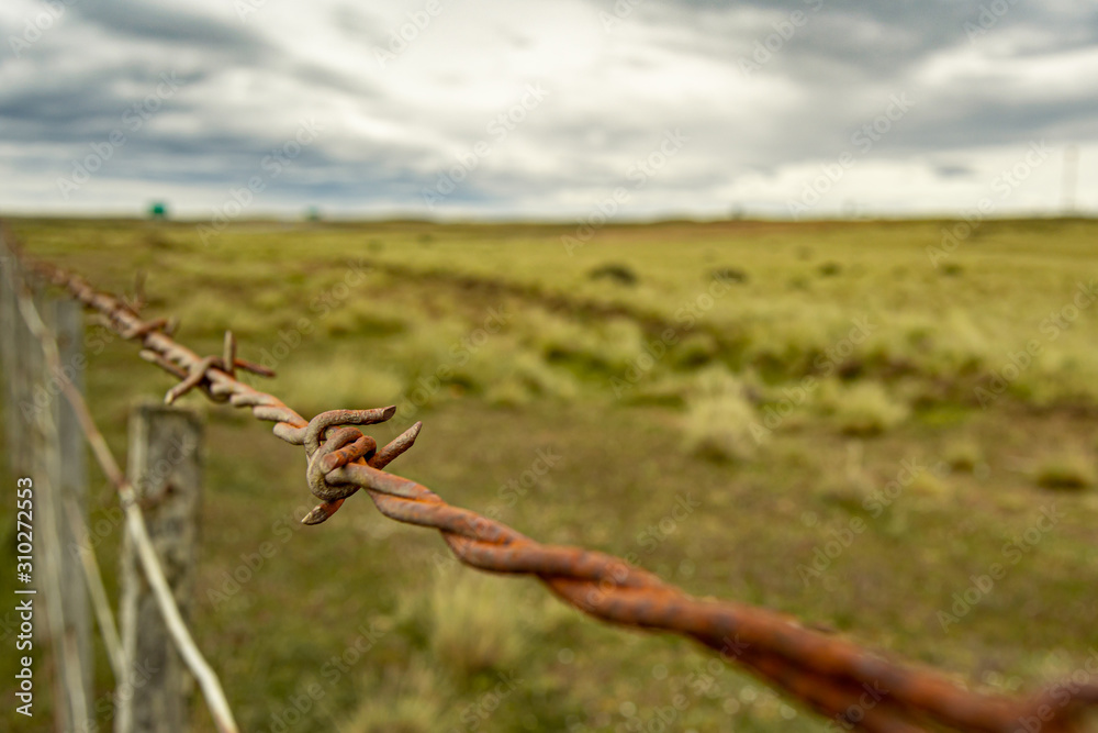 close-up of barbed wires fencing private field