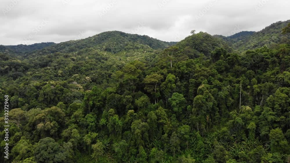 4K aerial of flying over a beautiful green forest in a rural landscape, Cheang Mai, Thailand. 4K aerial of flying over a beautiful green forest in a rural landscape, Cheang Mai, Thailand.