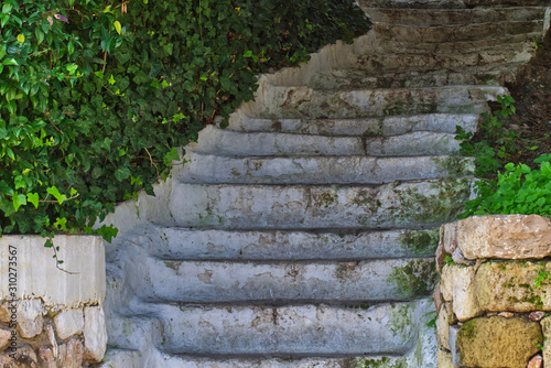 Old white steps detail surrounded by green leaves plants, Anafiotika area in Plaka, Athens, Greece.