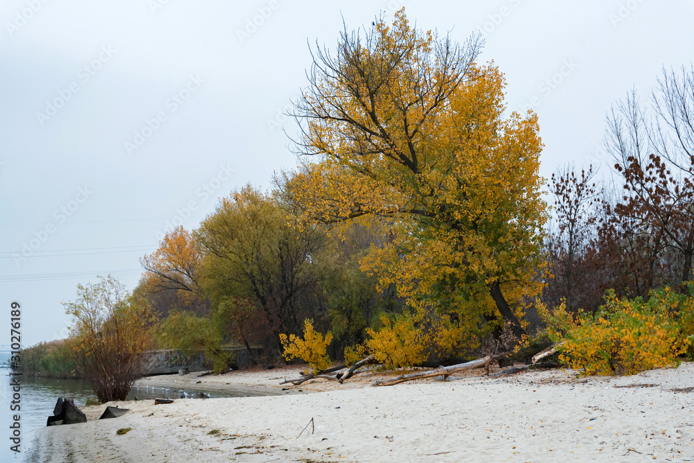 Beautiful nature and autumn landscape with yellow trees on bank of Don river