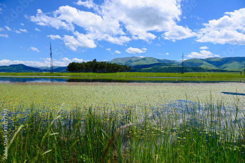 Beautiful lake landscape with aquatic plants Armenia