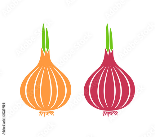 Onion logo. Isolated onion on white background