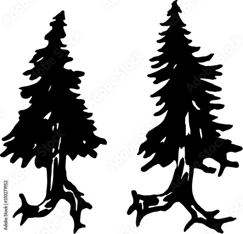 Illustration of a running tree with a spiral ornament. The roots like a feet.