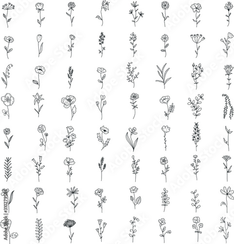 Fototapeta Duży zestaw kwiatowy i ziołowy. Kolekcja graficzna z kwiatami polnymi i ogrodowymi. Ręcznie rysowane elementy projektu na białym tle.