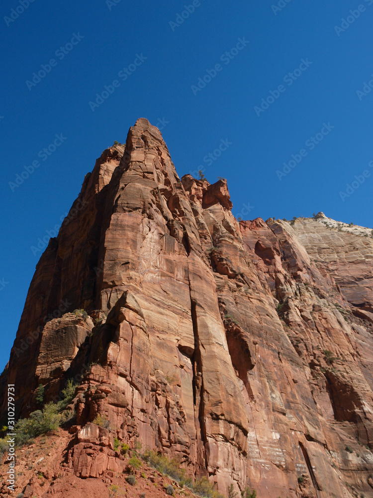 Fototapeta premium Zion National Park with Kolob Canyons in Utah