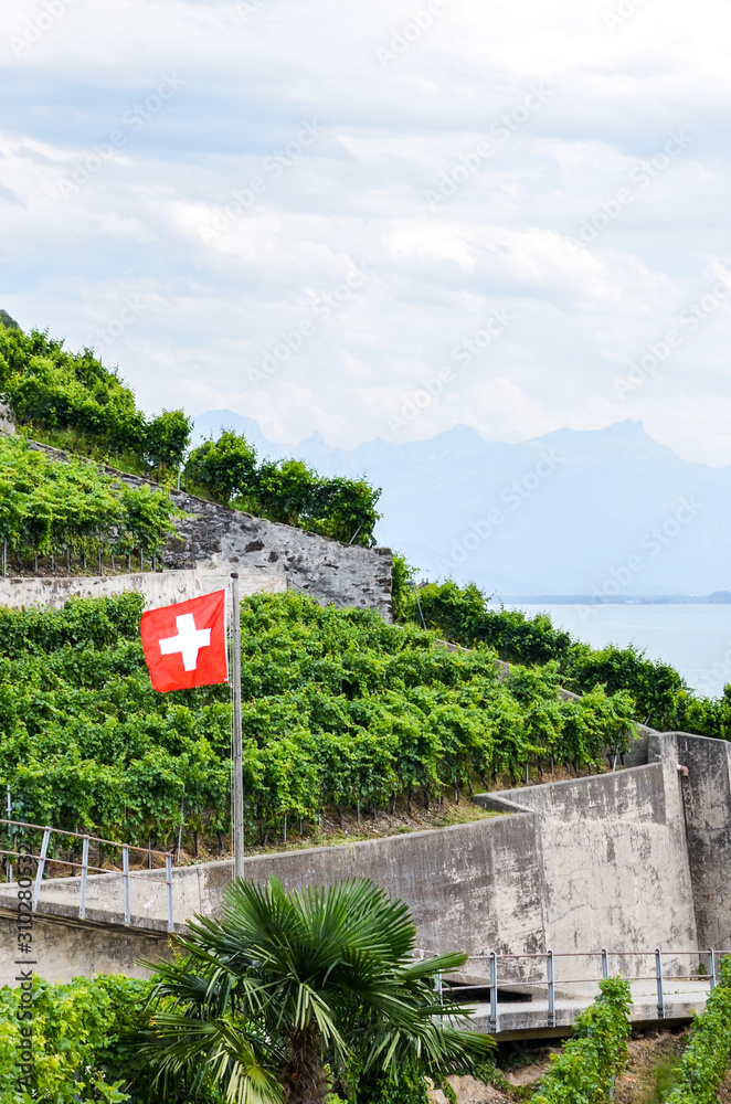 Vertical photo of the terraced vineyards on the slopes by Lake Geneva in Switzerland photographed on an overcast day. Waving Swiss flag in the vineyard. Silhouettes of the hills in the background