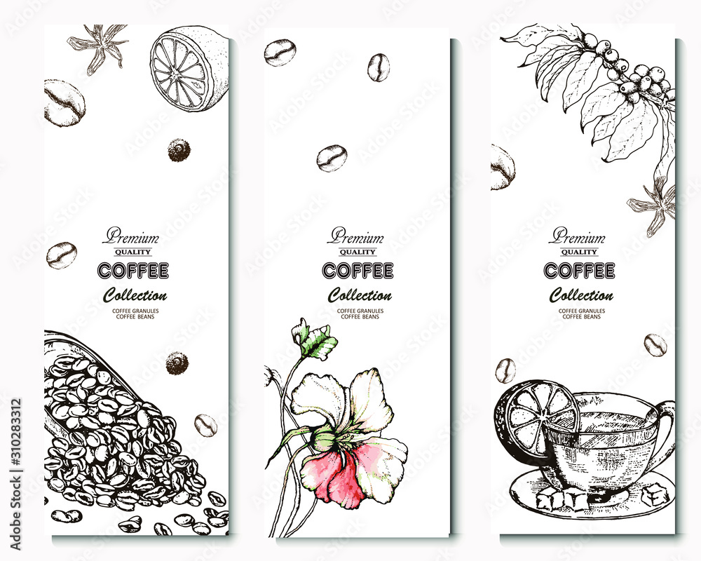 Coffee illustration. Hand drawn vector banner. Coffee beans and branch, bag, flower