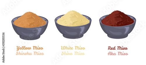 Miso paste in bowls isolated on white background set. White shiro Miso, Yellow shinshu  Miso, Red aka Miso. Vector illustration of japanese traditional food in cartoon flat style.