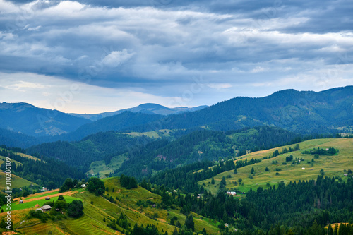 Sunset in carpathian mountains - beautiful summer landscape, spruces on hills, cloudy sky and wildflowers. © soleg