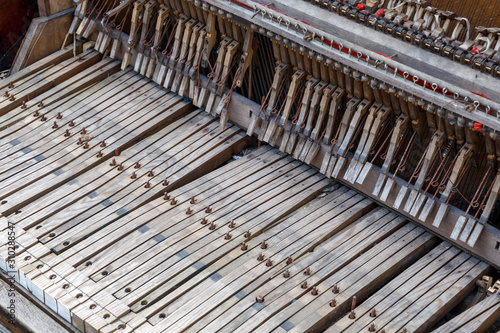 The keyboard and innards of a dumped and damaged vintage upright piano.