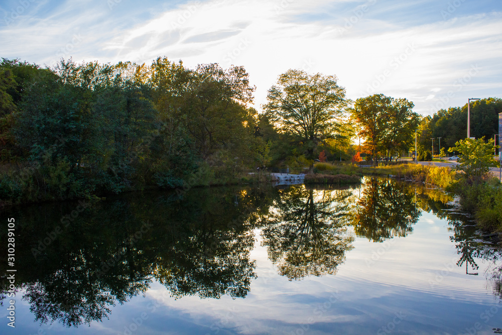 Fall colors reflected in the Lake in Michigan