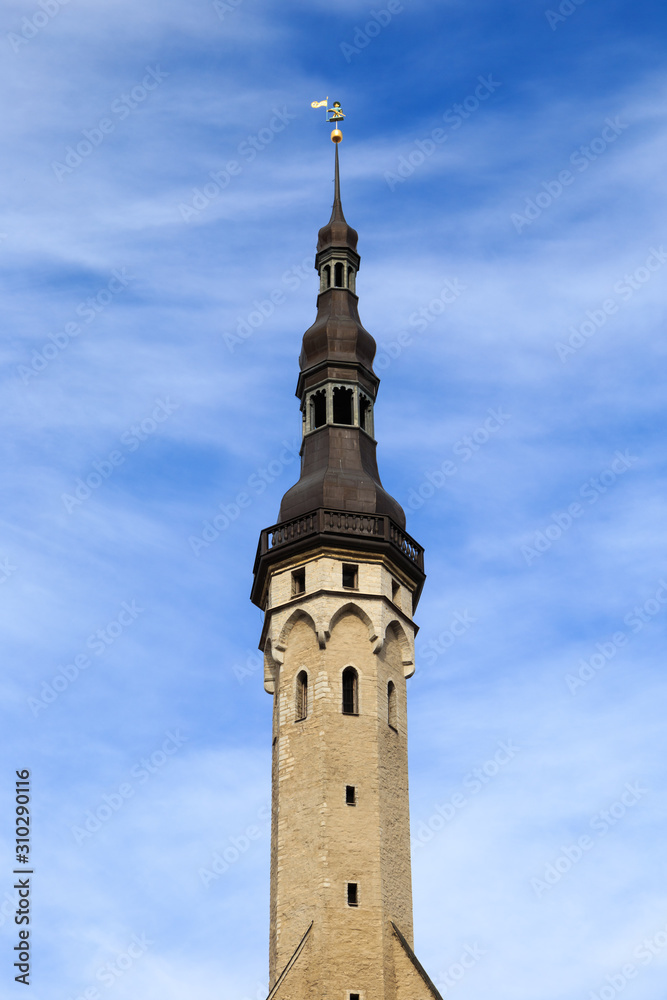 Watch tower of Tallinn, Estonia town hall (Tallinna raekoda).