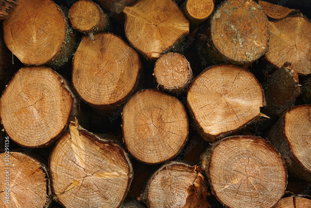 Pile of wood cut for fireplace Pile of wood cut for fireplace