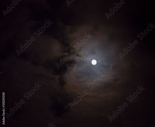 Night landscape with a dark trees