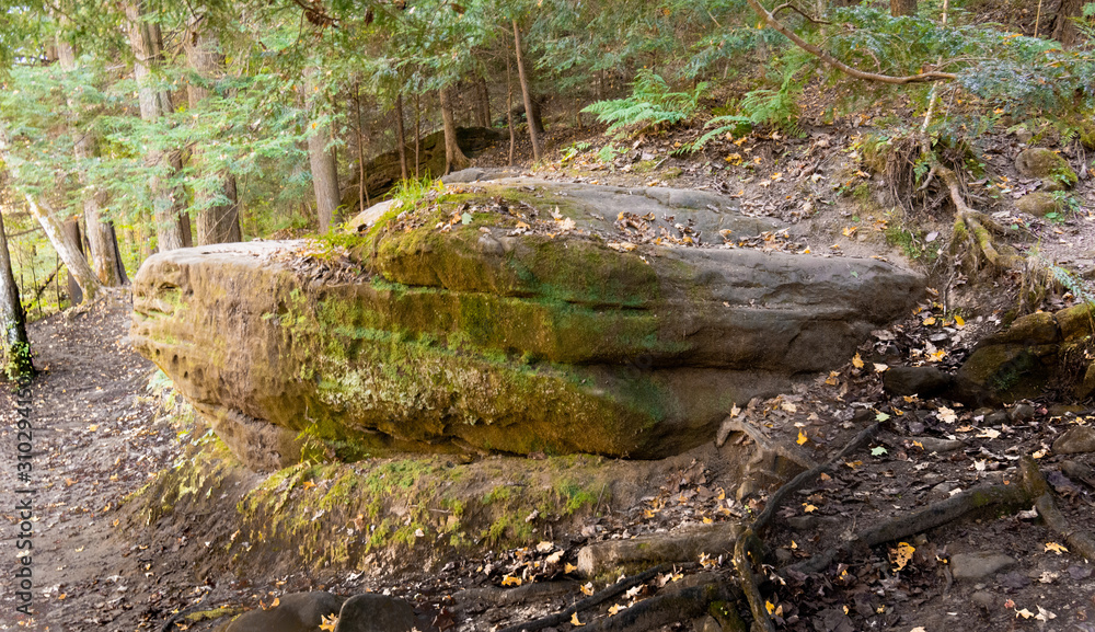 Moss covered rock along path in Mohican state forest in Ohio Moss covered rock along path in Mohican state forest in Ohio