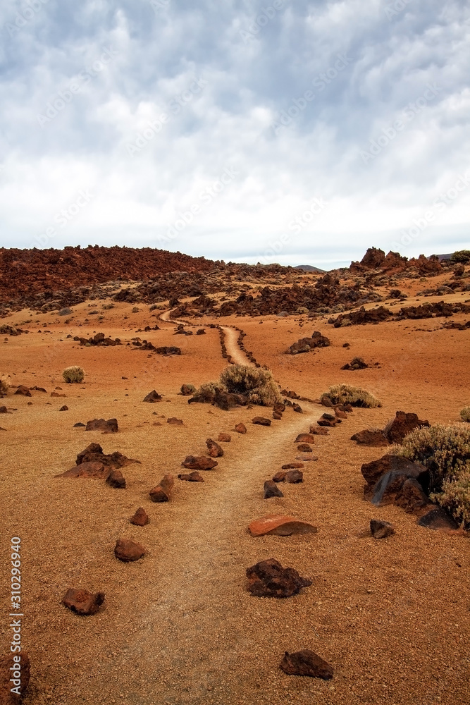 Sentiero nel parco Nazionale del Teide - Tenerife