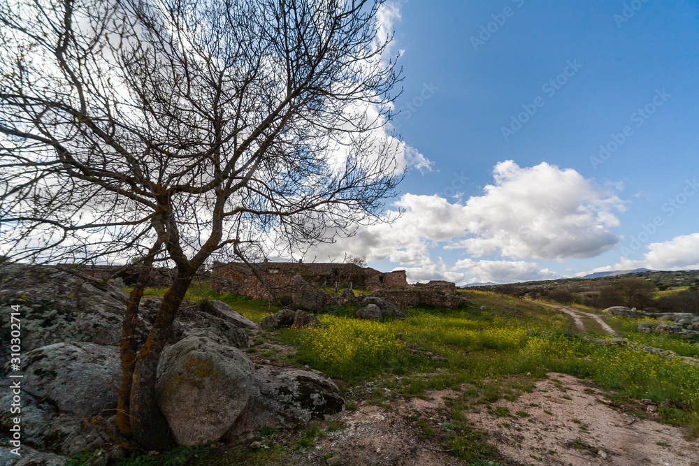 Landscape of the Montes de Toledo.