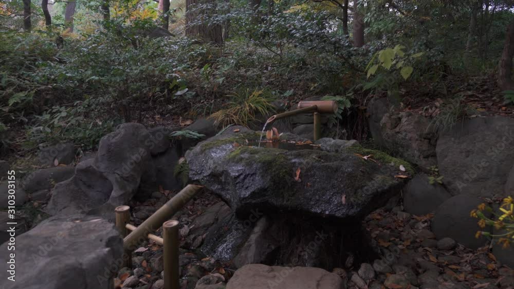 Vidéo Stock 日本庭園 ししおどし フィックス撮影 Adobe Stock