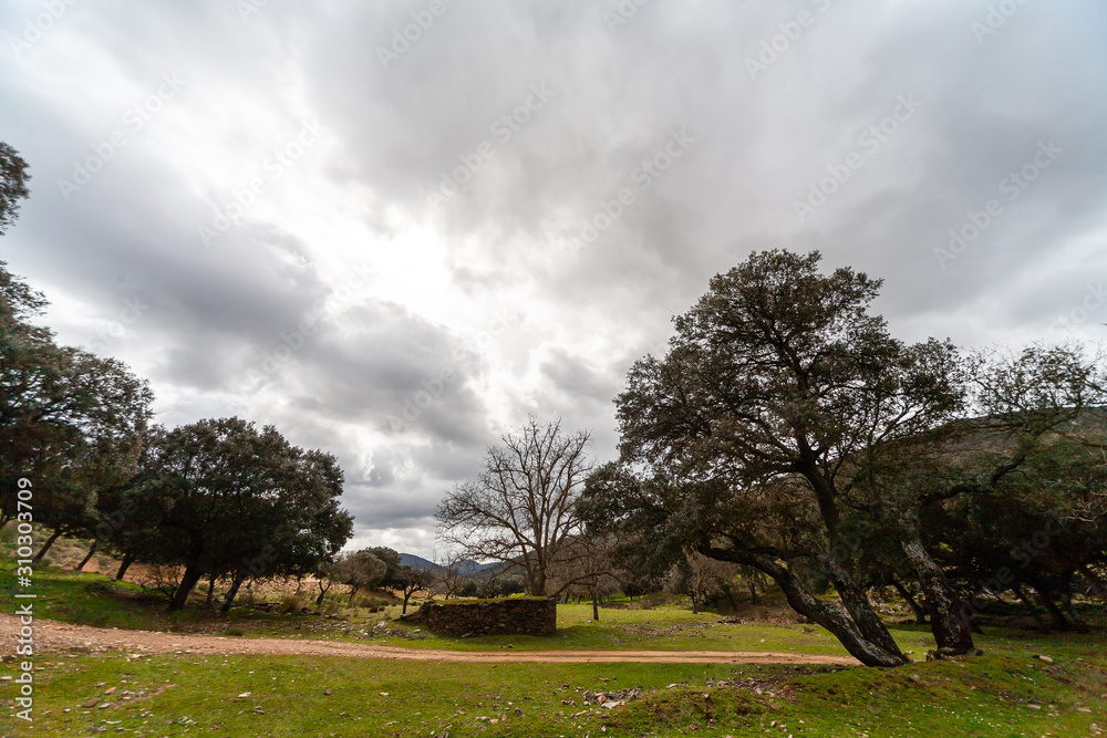Landscape of the Montes de Toledo. Landscape of the Montes de Toledo.