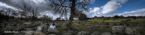 Landscape of the Montes de Toledo.