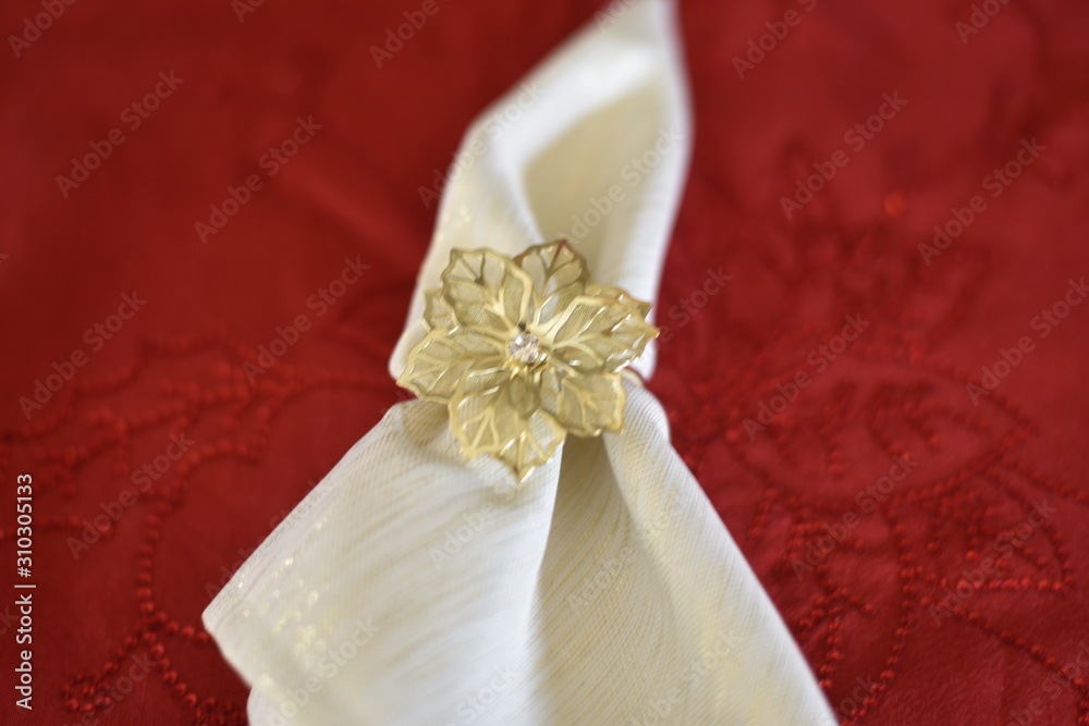 Dinner Place Setting with Napkin
