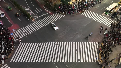 Shibuya Crossing photo