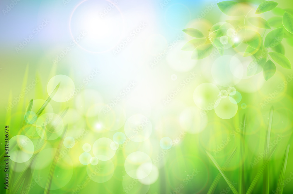 Obraz premium Green meadow in strong sunlight. Nature background. Fresh grass. Spring landscape. Abstract vector illustration.