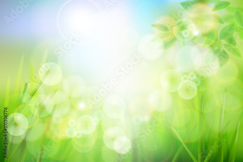 Green meadow in strong sunlight. Nature background. Fresh grass. Spring landscape. Abstract vector illustration.