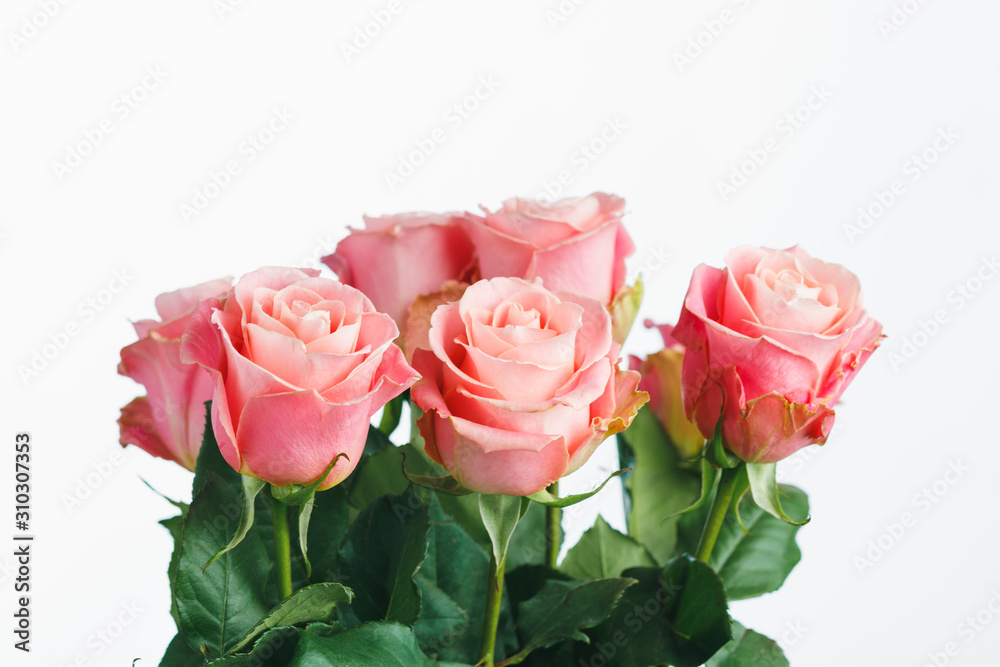 pink roses bouquet, white background pink roses bouquet, white background