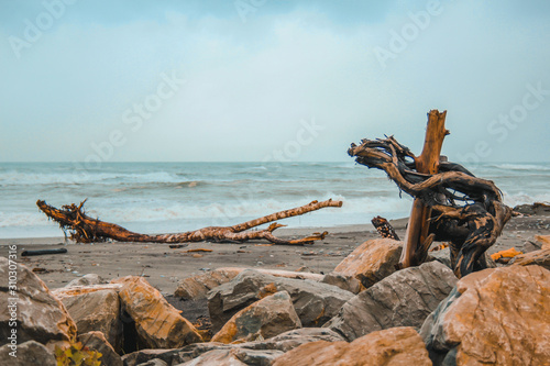 Driftwood at the beach in Hokitika, South Island, New Zealand