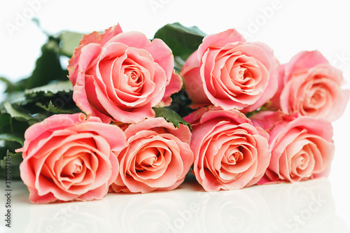 bunch of pink roses  white background