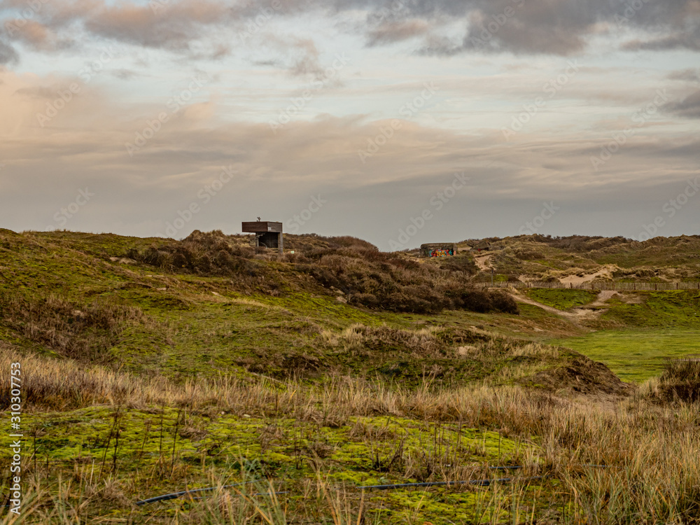 Norderney, Germany. 7 December 2019. Grassy dunee under cloudy sky on the island of Norderney in the late winter sun.