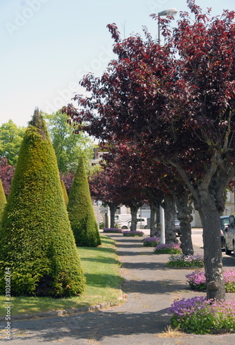 Ville d'Argentan, jardin public et fleurs, département de l'Orne © Philippe Prudhomme