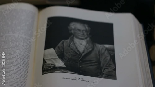 Johann Goethe is a great German writer Portrait
