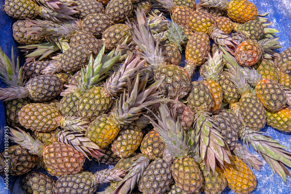 Fresh pineapple, ananas, at a fruit market in Mucuge, Bahia, Chapada Diamantina, Brazil Fresh pineapple, ananas, at a fruit market in Mucuge, Bahia, Chapada Diamantina, Brazil