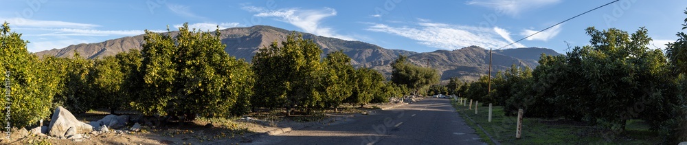 Naklejka premium farm with mountains