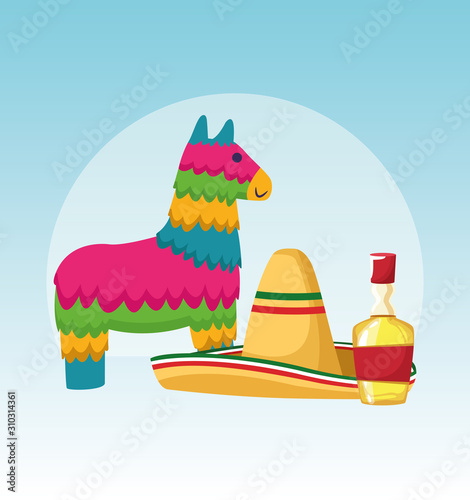Mexican pinata and hat vector design