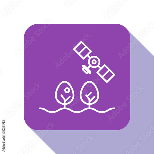White line Smart farm with drone control and tree icon isolated on white background. Innovation technology for agricultural company. Purple square button. Vector Illustration