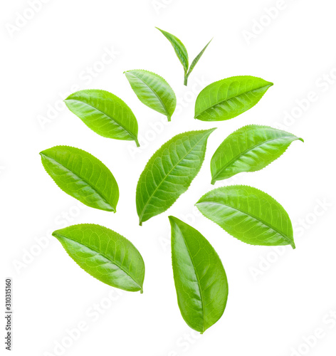 green tea leaves isolated on white background
