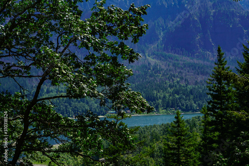 Landscape from Beacon Rock