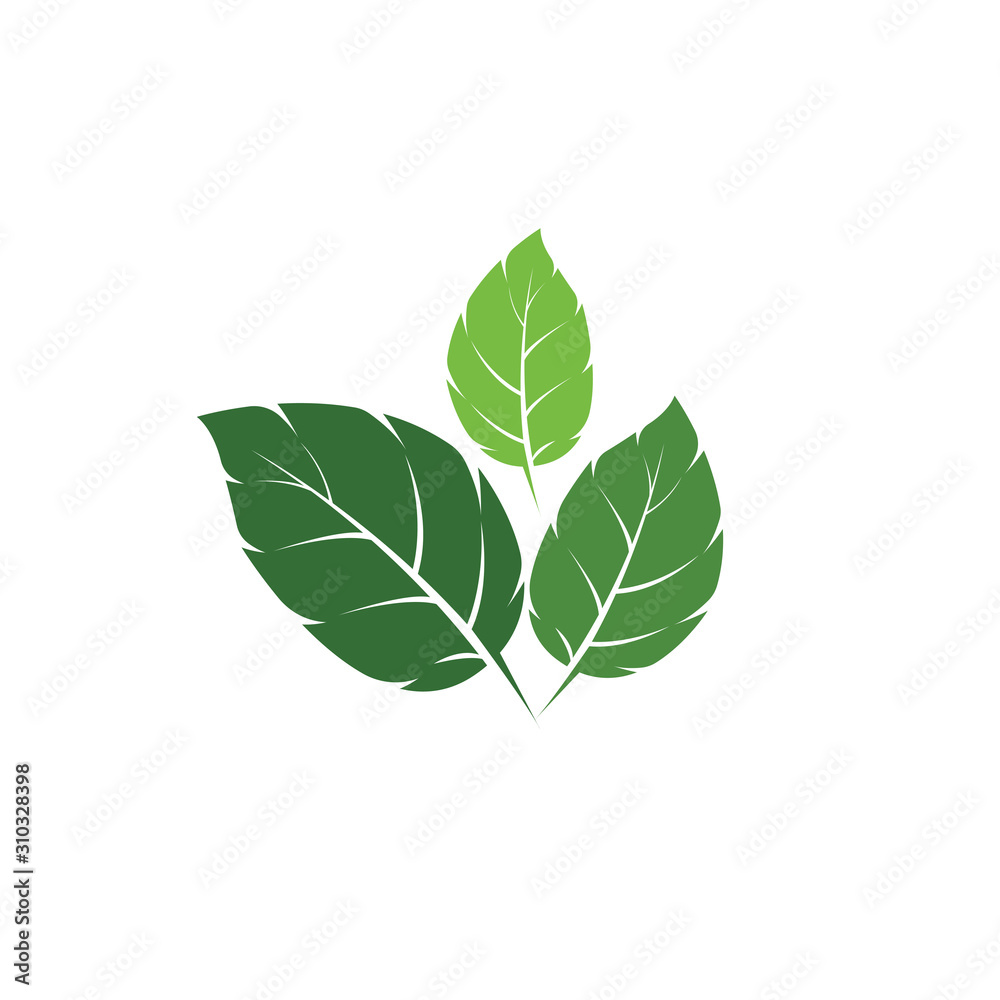 Obraz premium Leaf Mint Logo Template vector symbol